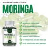 Bekdorf natural's Pure Moringa Leaves Extracts,Standarized to 5% saponins(60 Vegan Capsules) - Image 10