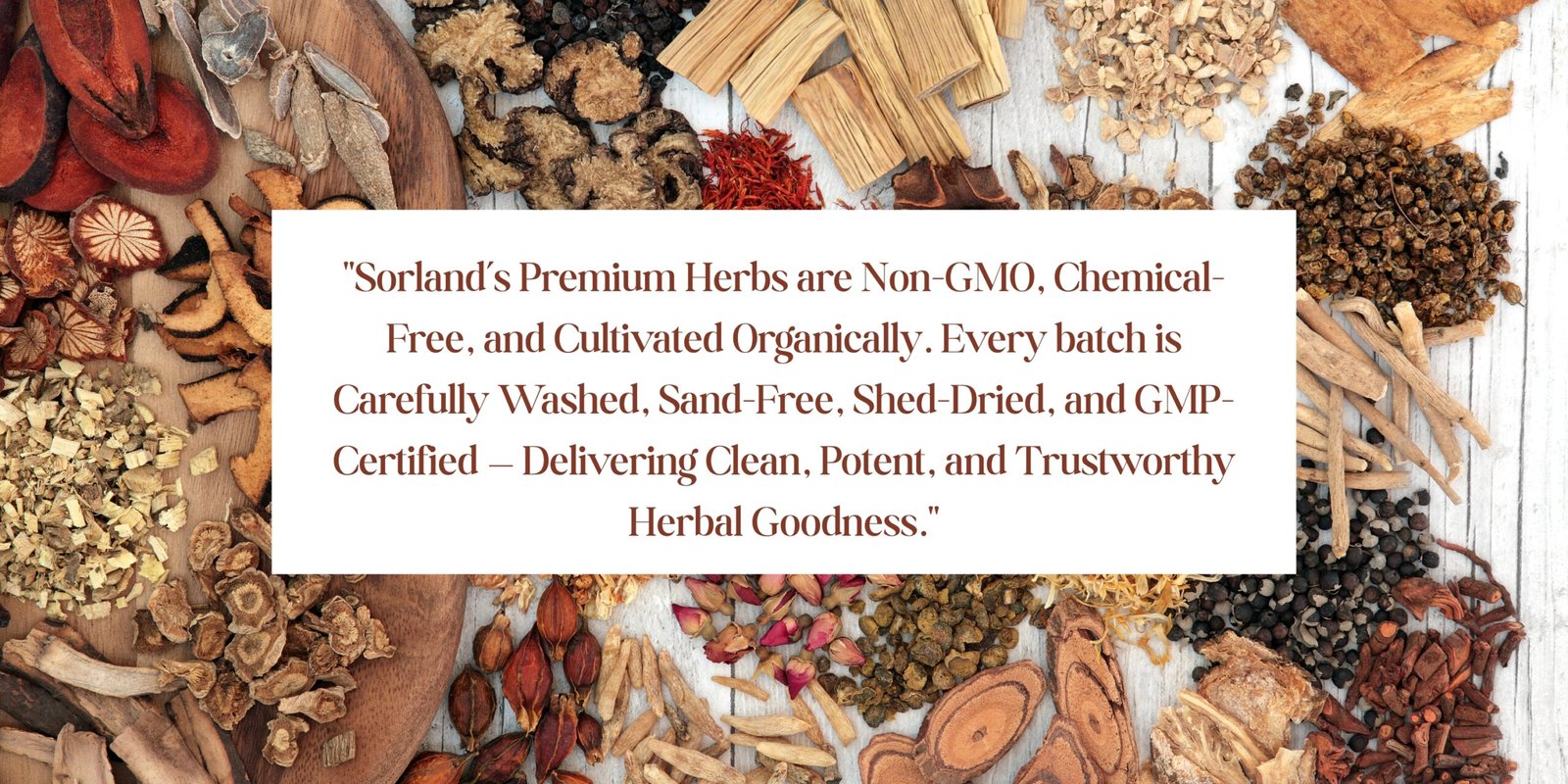 Sorland’s Premium Herbs are Non-GMO, Chemical-Free, and Cultivated Organically. Every batch is Carefully Washed, Sand-Free, Shed-Dried, and GMP-Certified — Delivering Clean, Potent, and Trustworth